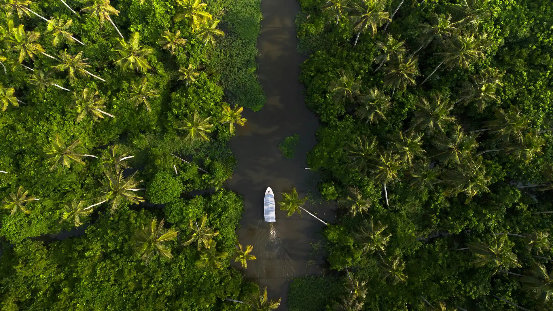 Essence of Kerala gallery 3